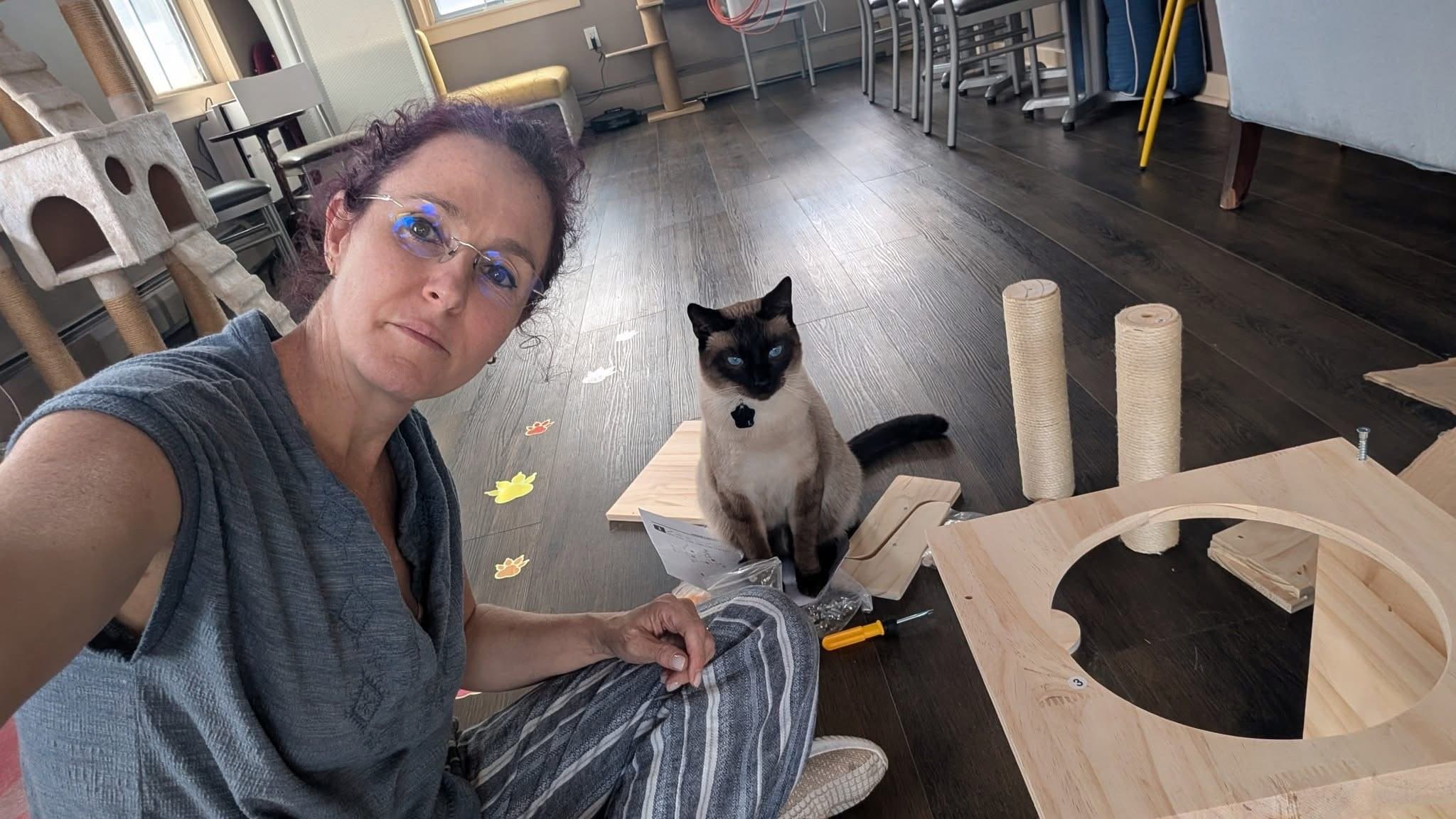 Vagus, a cat at Purrmont Cat Café