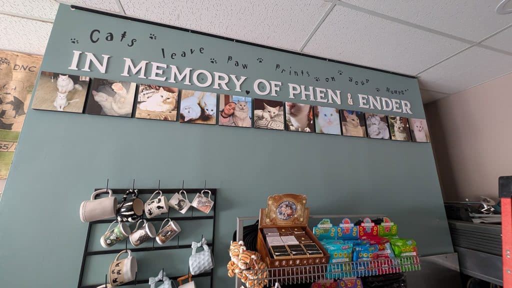In memory of Phen and Ender, who inspired Purrmont Cat Café.